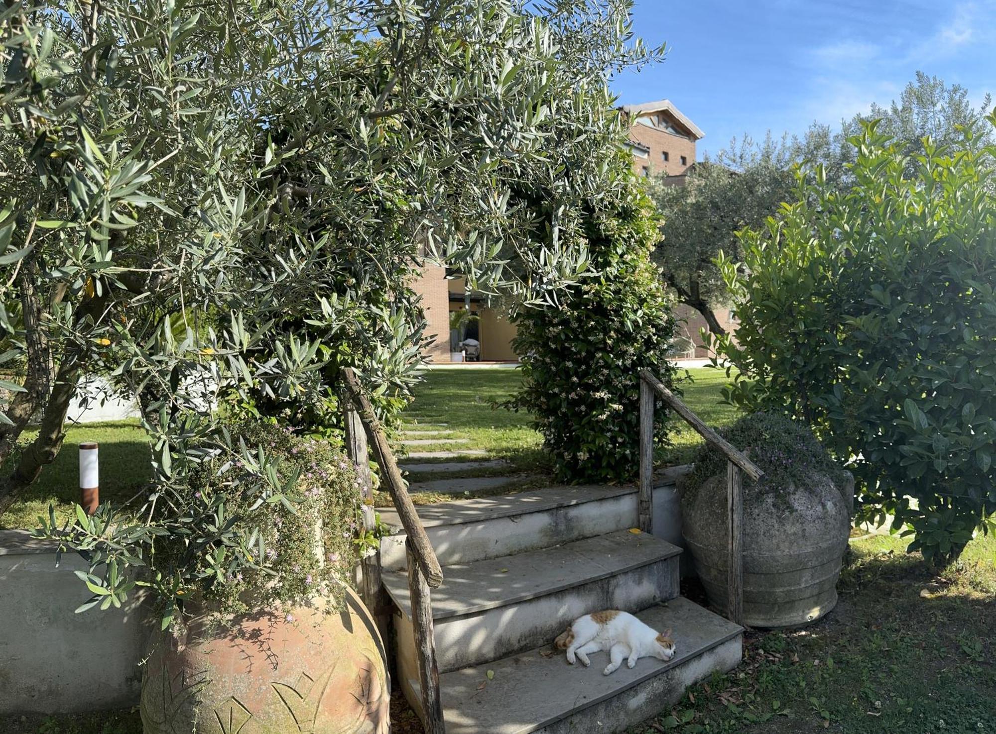 Villa C Luxury Estate Sant'Antonio Abate Eksteriør billede